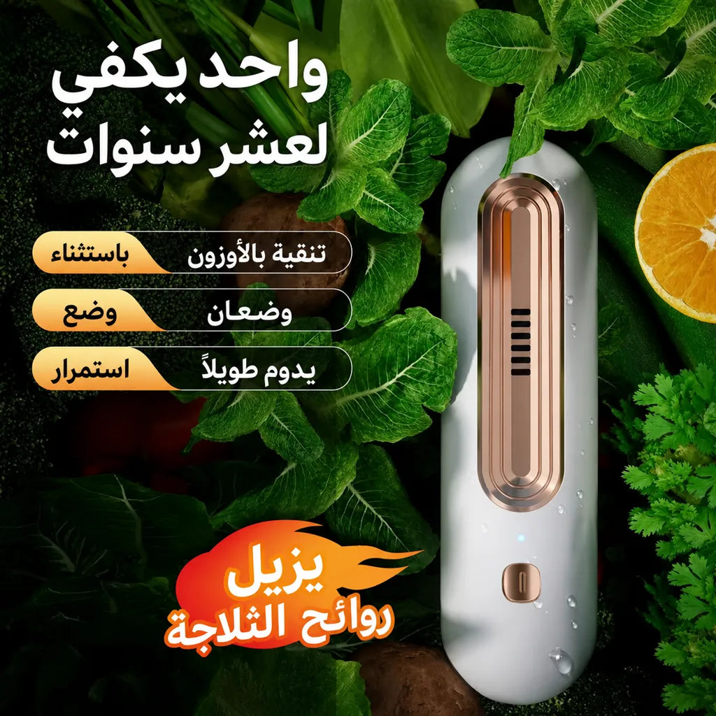 جهاز التعقيم وإزالة الروائح الذكي USB