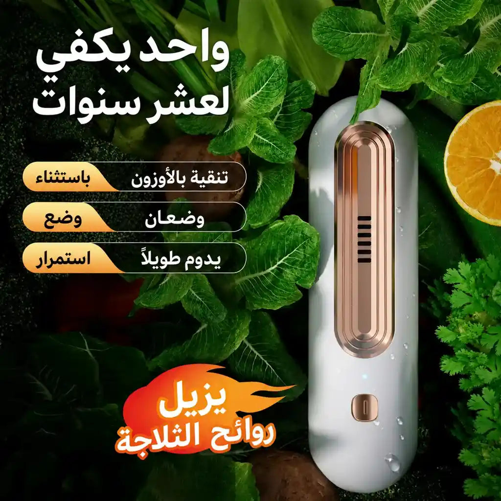جهاز التعقيم وإزالة الروائح الذكي USB